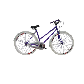 Bicicleta 700 Clasica De...