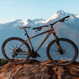 Bic. Mtb 29 Profit X2...