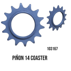 Piñon P-Coaster Velosteel...