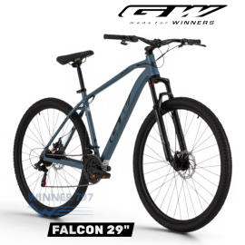 Bic. Mtb 29 Gw Alum. -T15-...